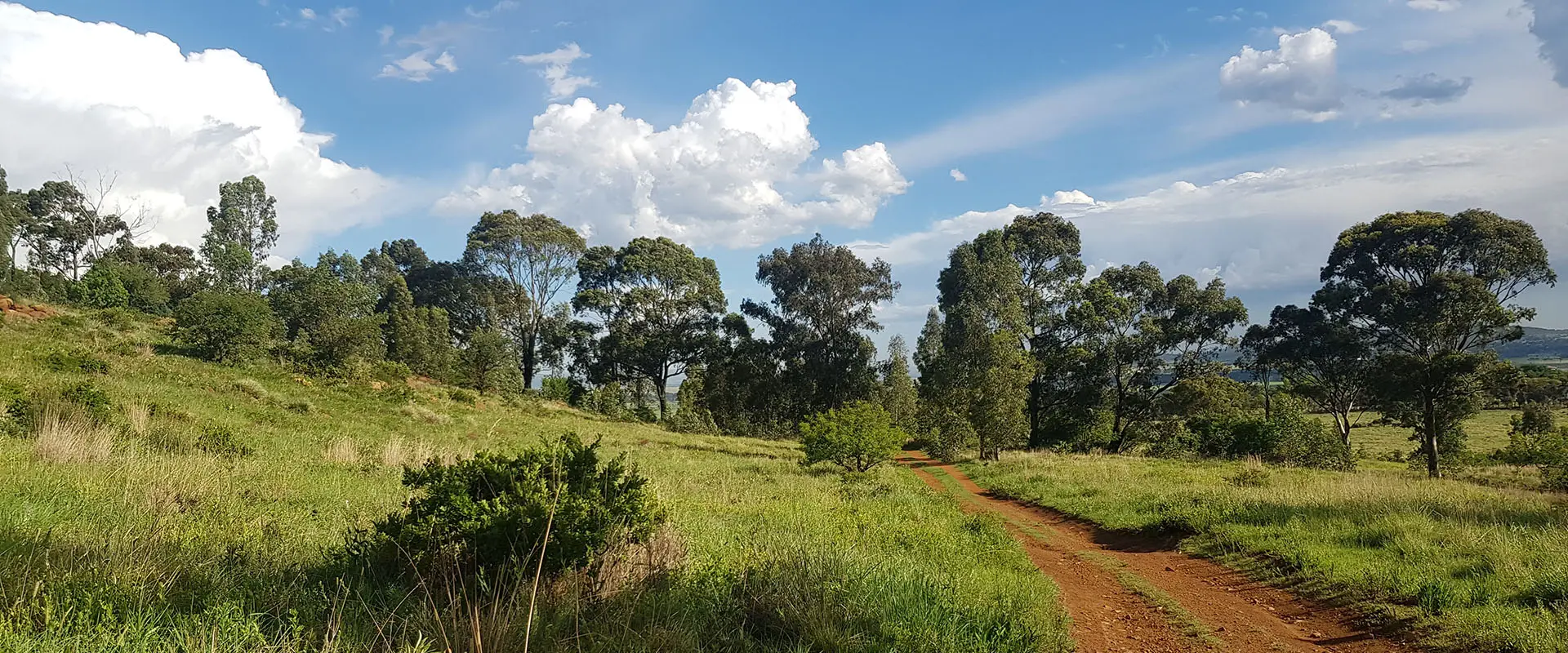 Thaba Trails