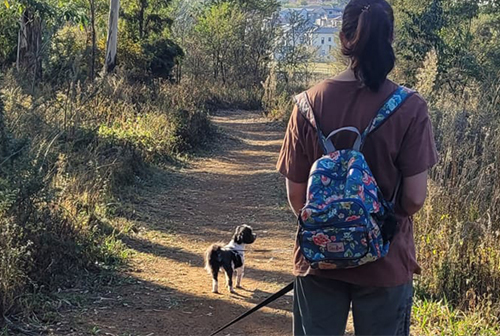 Doggie Trails Mobile 1