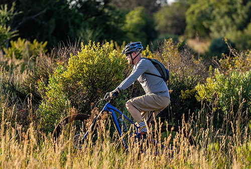 Thaba-Trails-Mountain-Biking-Trail-22-mobile