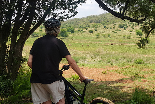 Thaba-Trails-Mountain-Biking-Trail-6-mobile
