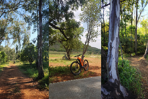 Thaba-Trails-Mountain-Biking-Trail-7-mobile