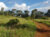 Thaba Trails Walking Running Hiking Trail 14