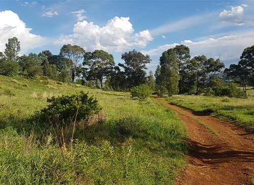 Thaba Trails Walking Running Hiking Trail 14
