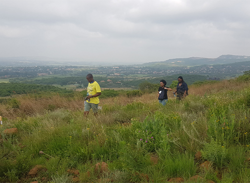 Thaba Trails Walking Running Hiking Trail 21