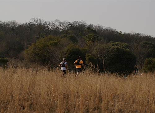 Thaba Trails Walking Running Hiking Trail 7